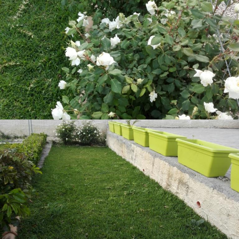 La Casa Delle Farfalle Bed & Breakfast Syracuse Bagian luar foto