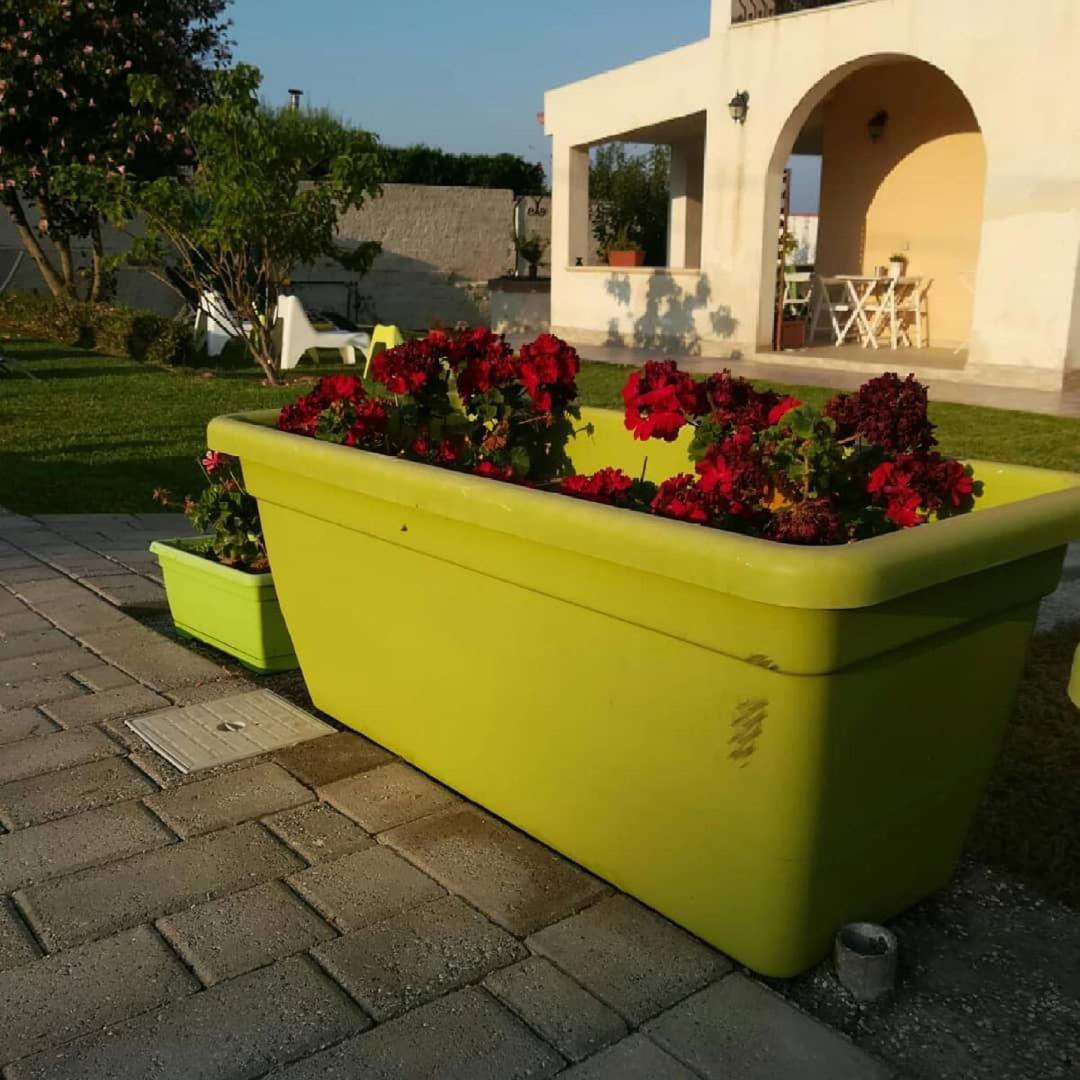 La Casa Delle Farfalle Bed & Breakfast Syracuse Bagian luar foto