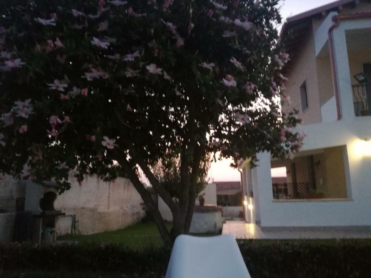 La Casa Delle Farfalle Bed & Breakfast Syracuse Bagian luar foto